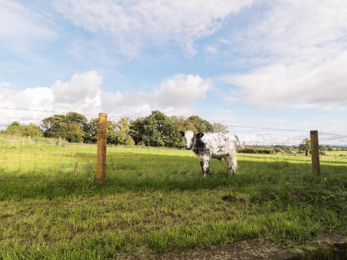 Faraway Cottage Kirklinton エクステリア 写真