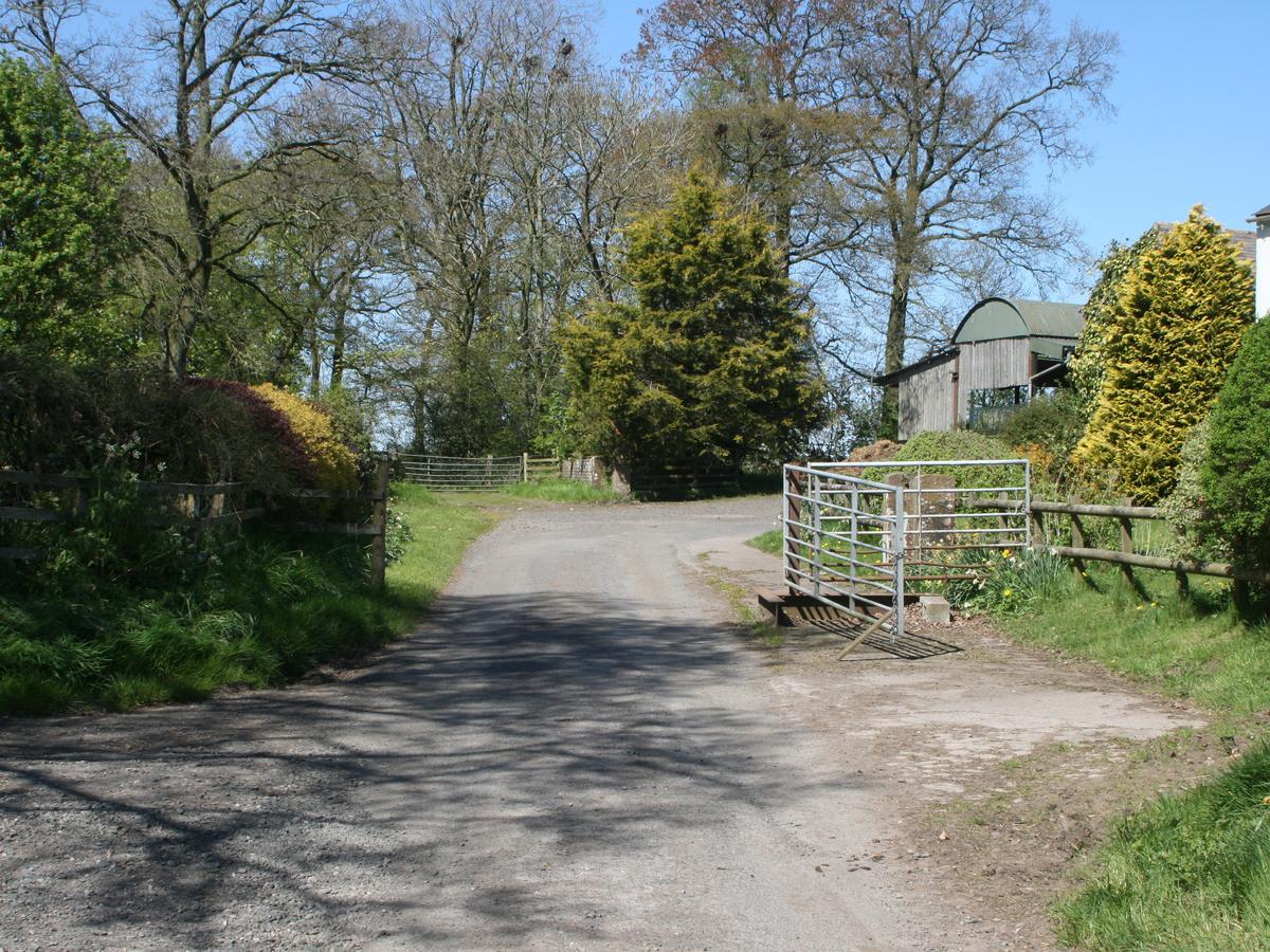 Faraway Cottage Kirklinton エクステリア 写真